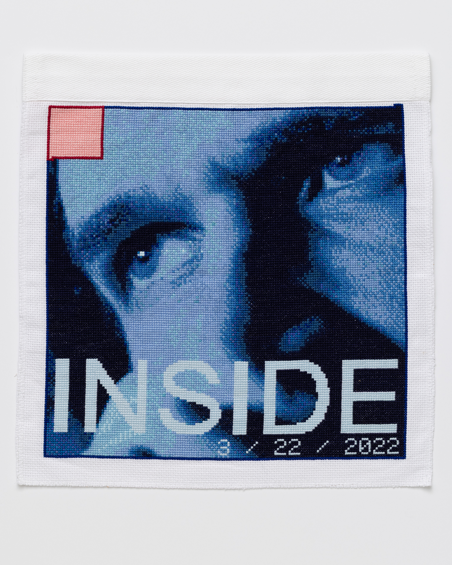 March 22, 2022 Cross stitch embroidery of the top half of a man's face in various colors of blue, with the eyes looking left. There is a small pink square outlined in red thread in the top left corner. Across the bottom of the image is the word "INSIDE" in light blue thread.